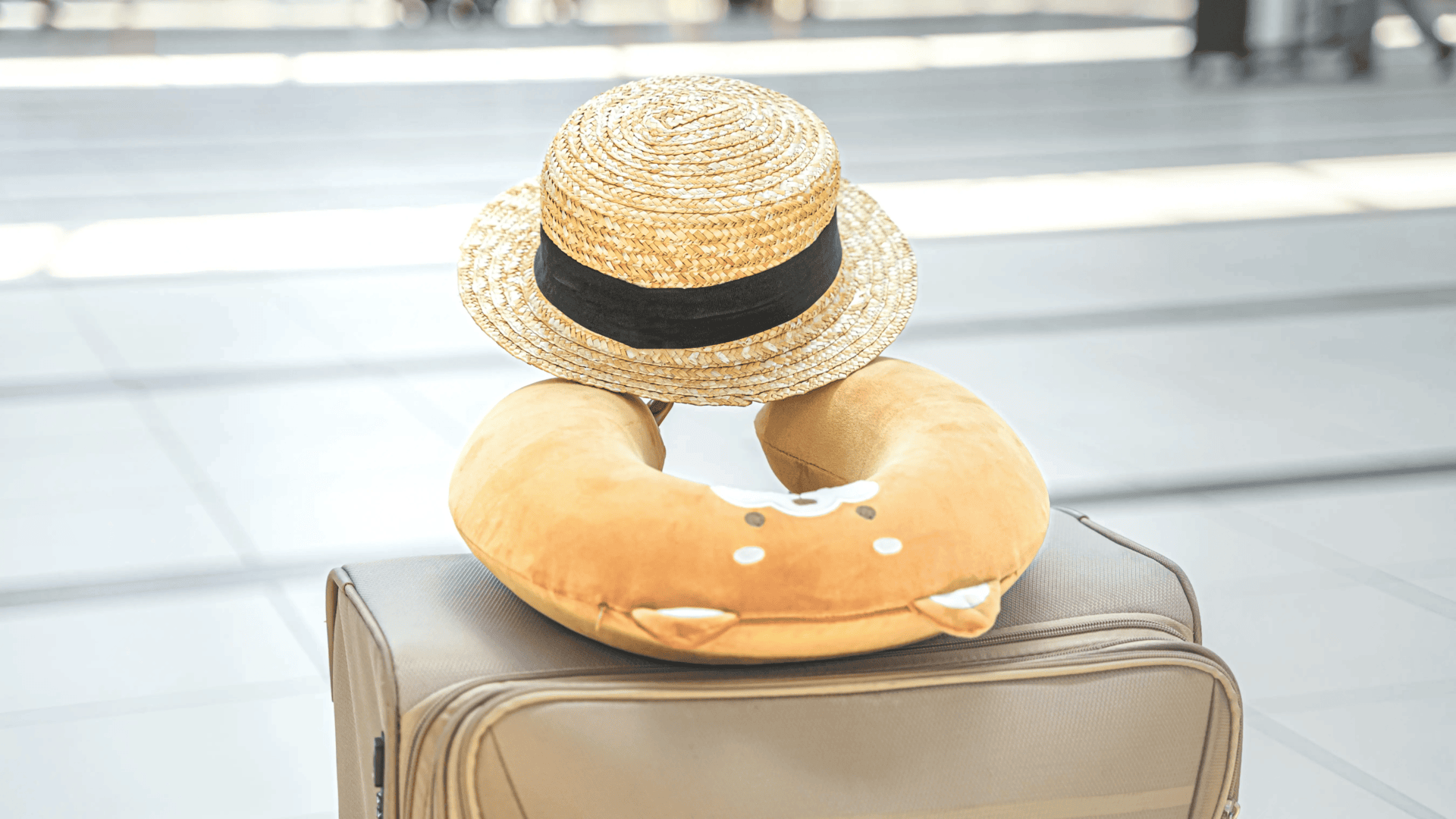 Travel Bag with Pillow and Hat