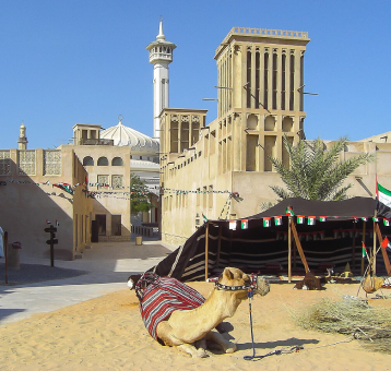 Seating Camel and Old Building in Dubai